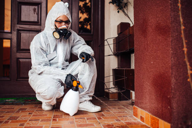 Reliable Wasp Removal contractor in Deerfield Beach, FL by Show Me Pest Control